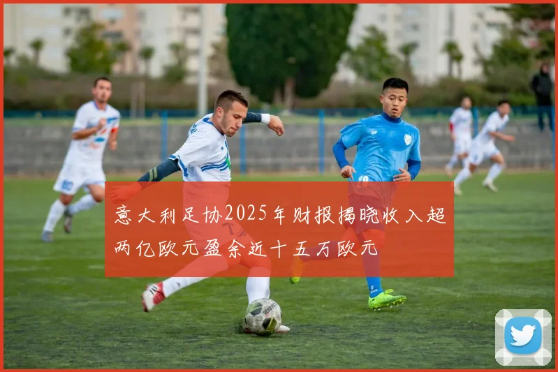 意大利足协2025年财报揭晓收入超两亿欧元盈余近十五万欧元